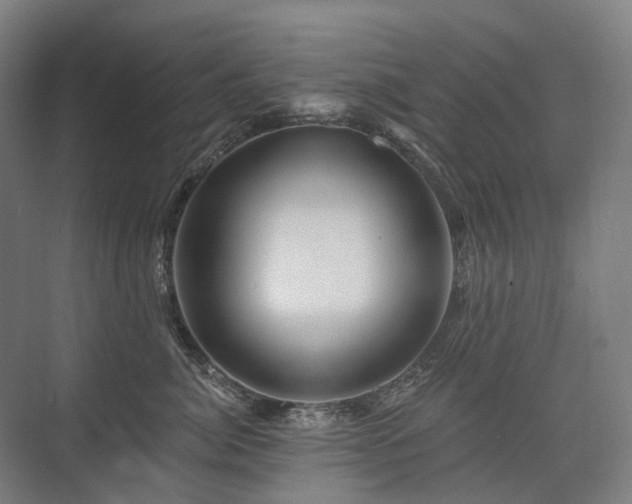 X0000075830764200609151238