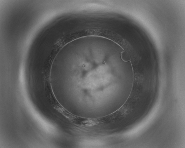 X0000075830765200609151238