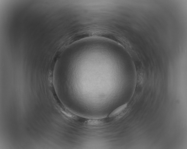 X0000075830766200609151238