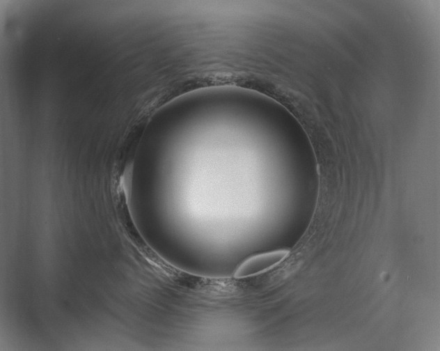 X0000075830768200609151238