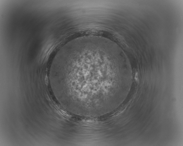 X0000075830771200609151237