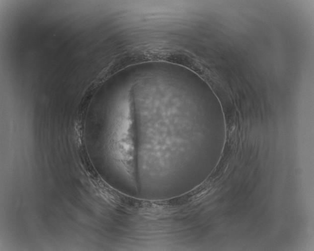 X0000075830772200609151237