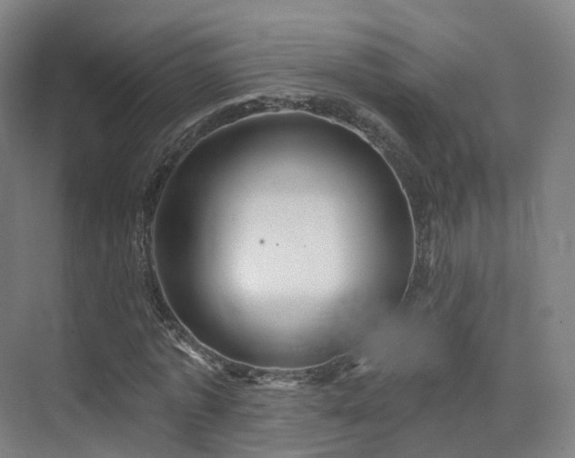 X0000075830773200609151237