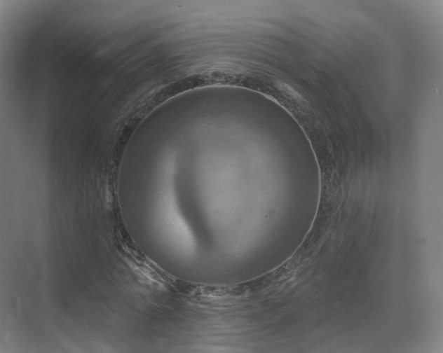 X0000075830774200609151237