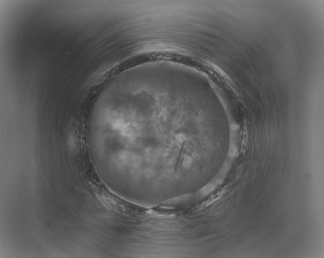 X0000075830775200609151237