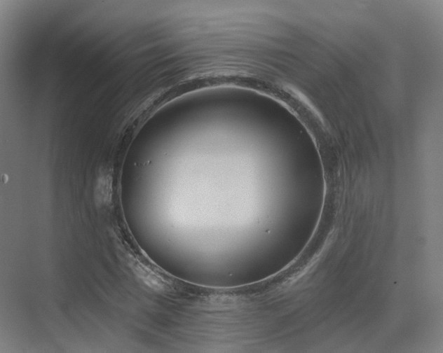 X0000075830777200609151237