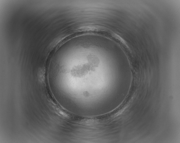 X0000075830778200609151237