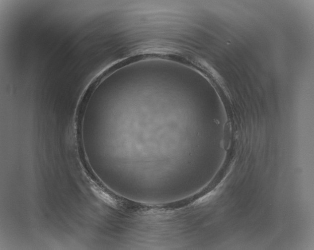 X0000075830779200609151237