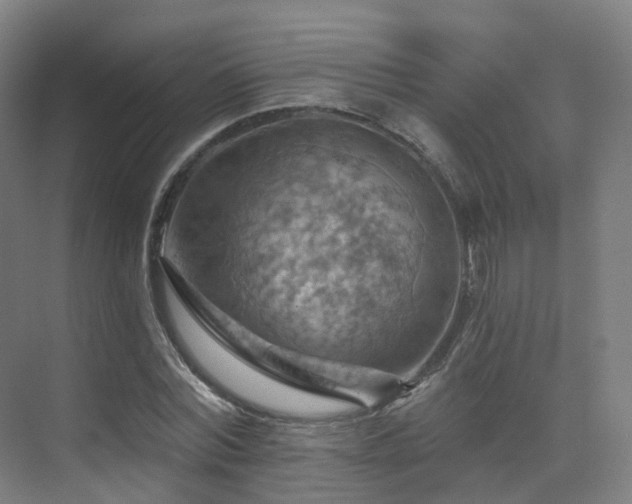 X0000075830780200609151237