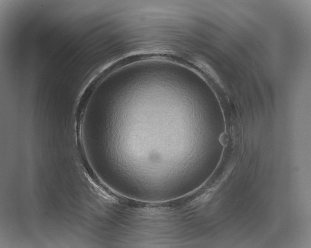 X0000075830781200609151237