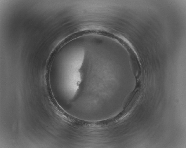 X0000075830783200609151237