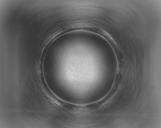 X0000075830786200609151237