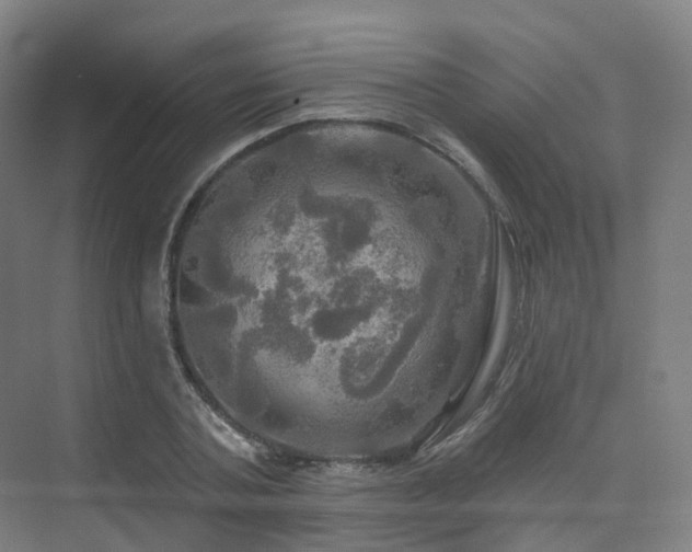 X0000075830787200609151237