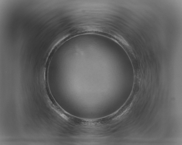 X0000075830790200609151237