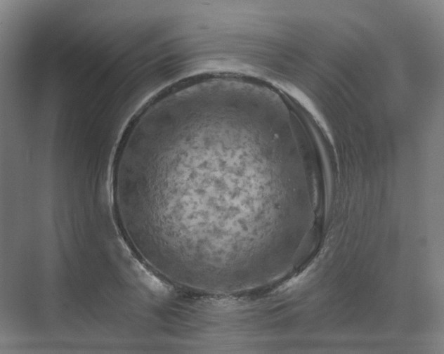 X0000075830791200609151237