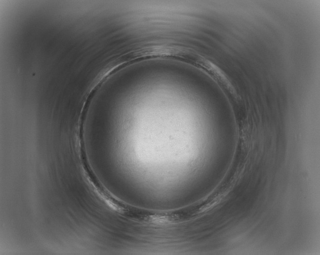 X0000075830794200609151237