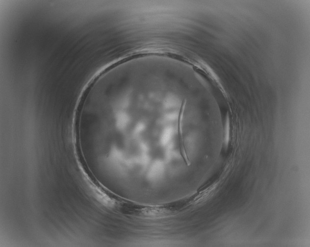 X0000075830795200609151237