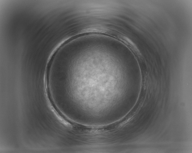 X0000075830796200609151237