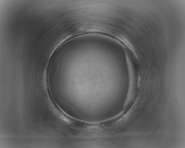 X0000075830798200609151237