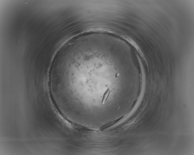 X0000075830799200609151237