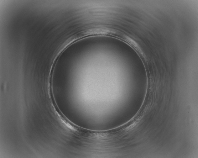 X0000075830802200609151237