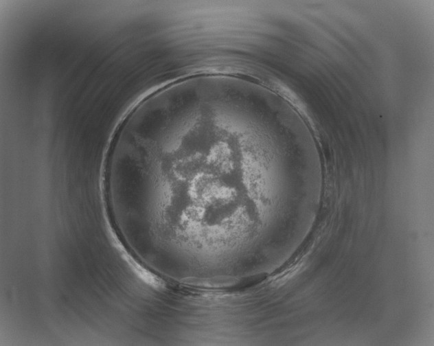 X0000075830803200609151237