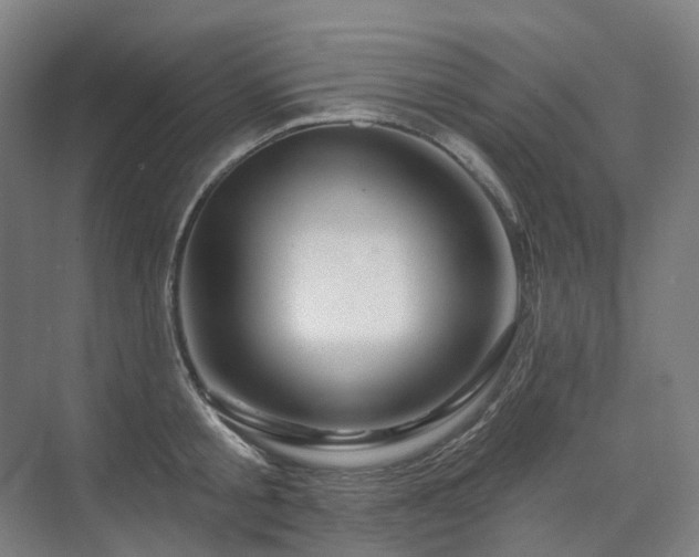 X0000075830805200609151237