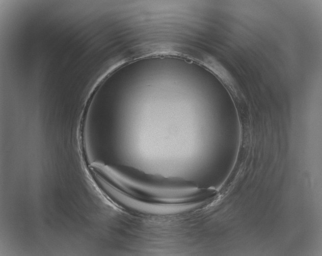 X0000075830806200609151237