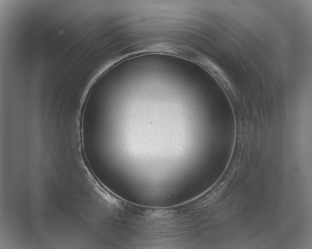 X0000075830808200609151237