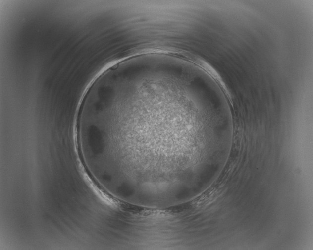 X0000075830811200609151237