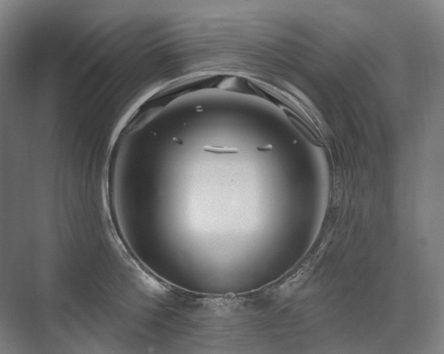 X0000075830812200609151237