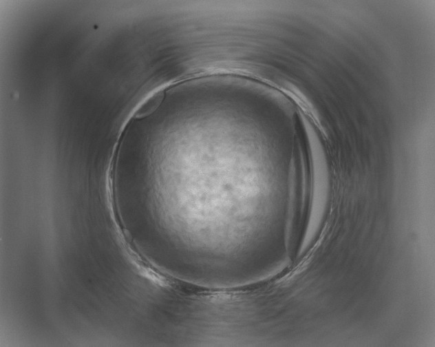 X0000075830814200609151237