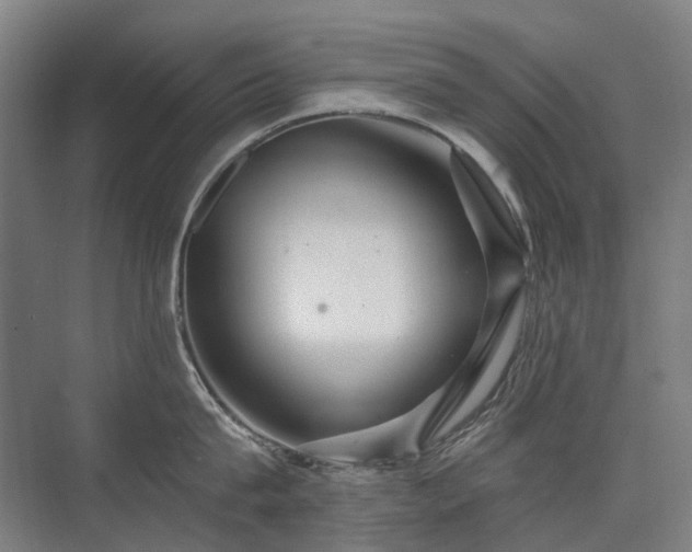 X0000075830815200609151237