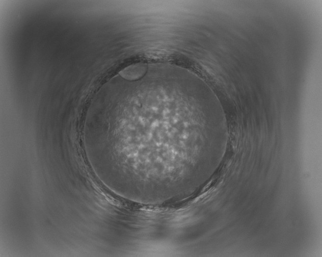 X0000075830817200609151236