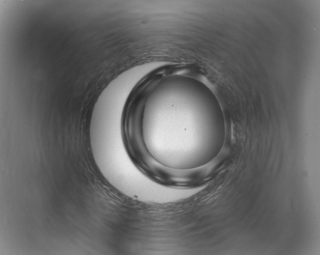 X0000075830818200609151236