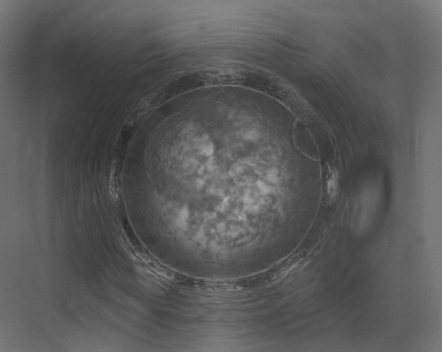 X0000075830819200609151236