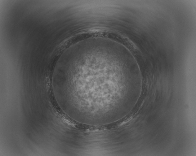 X0000075830821200609151236