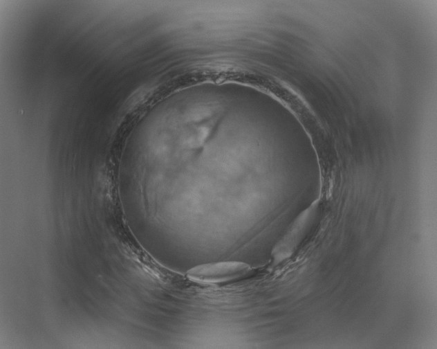 X0000075830823200609151236