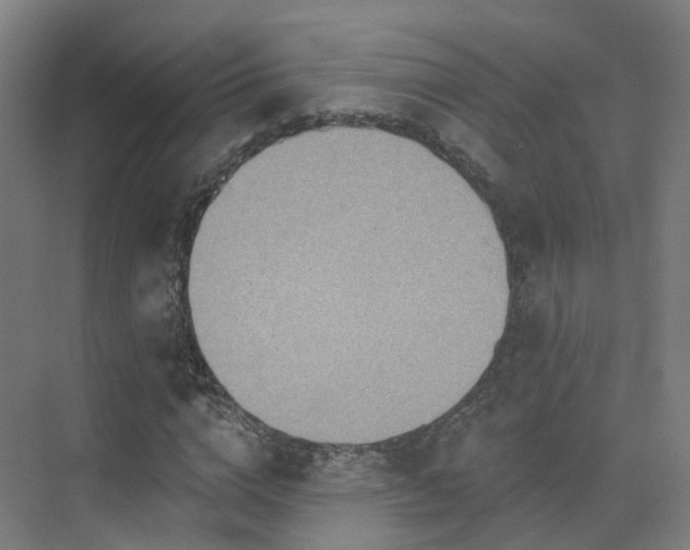 X0000075830824200609151236