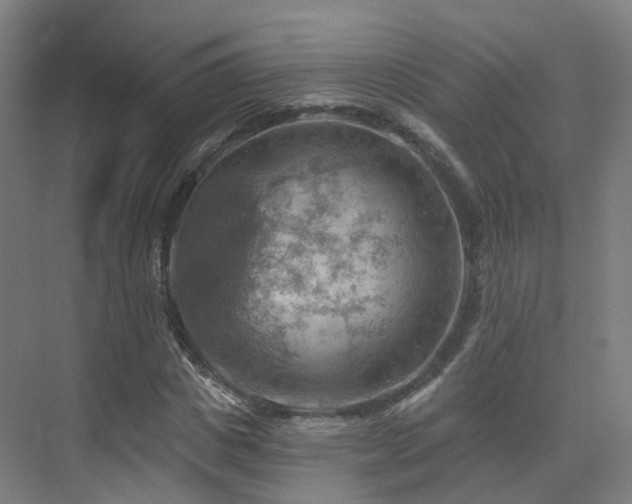 X0000075830825200609151236