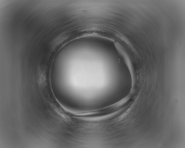 X0000075830826200609151236