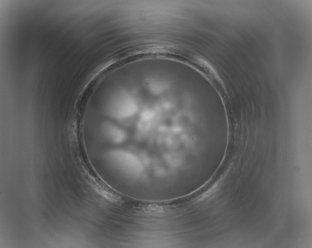 X0000075830827200609151236