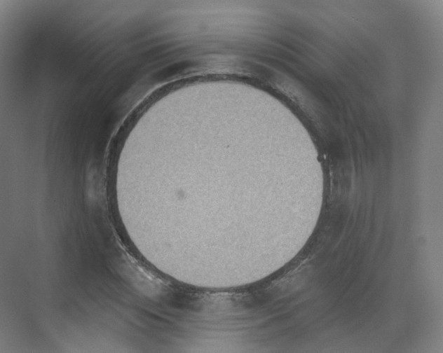 X0000075830828200609151236