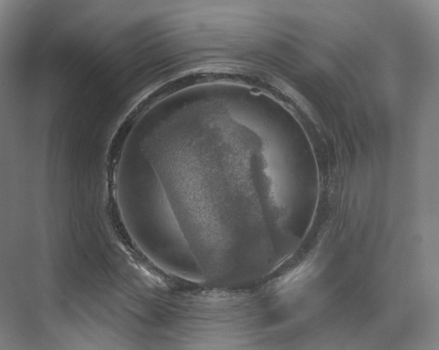 X0000075830829200609151236