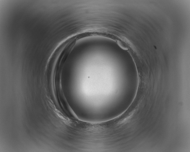 X0000075830830200609151236