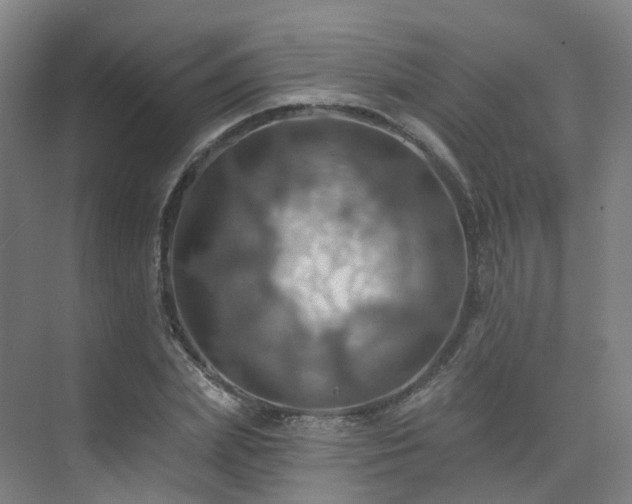 X0000075830831200609151236