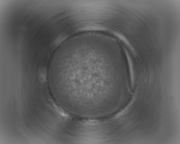 X0000075830833200609151236