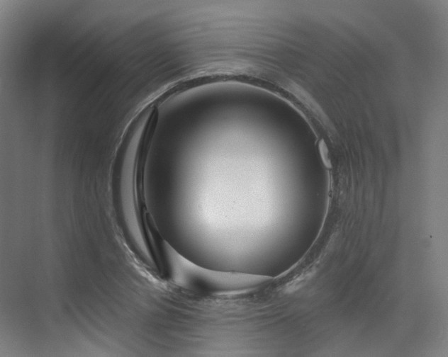 X0000075830834200609151236