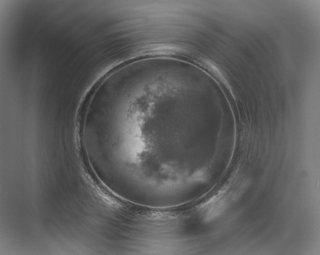 X0000075830835200609151236