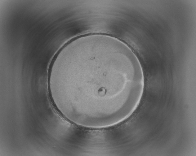 X0000075830836200609151236